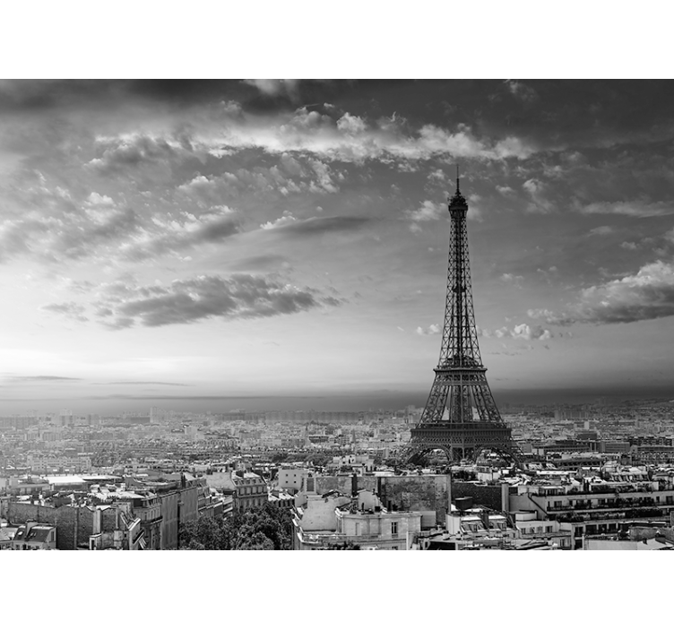 Wall mural paris eiffel tower scenic viewpoint - TenStickers