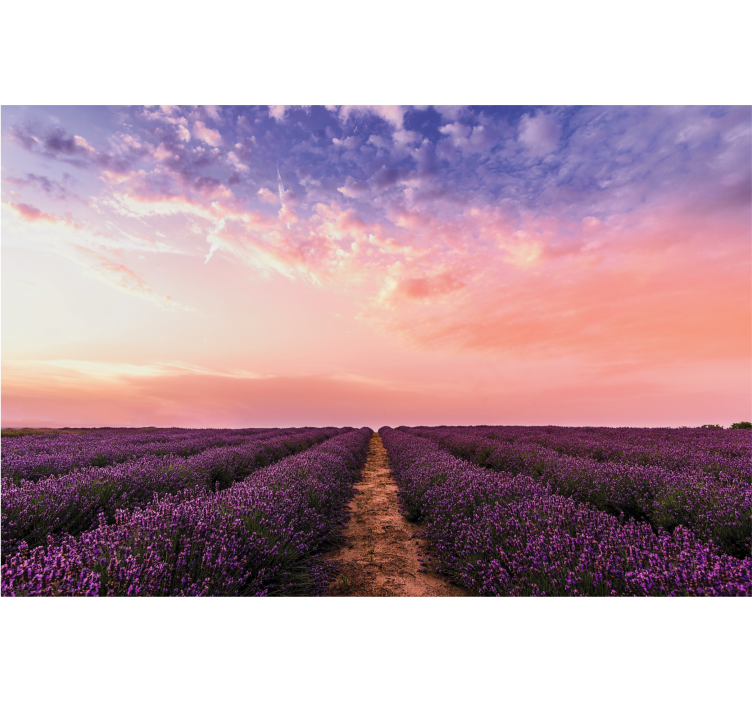 Lavender Field Sunset flowers wall mural - TenStickers