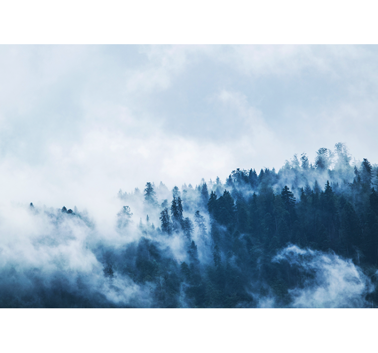 Nature wall mural forest misty landscape - TenStickers