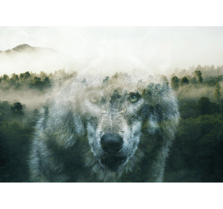 Wall mural animals regal wolf portrait - TenStickers