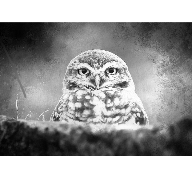 Majestic Owl Portrait wall mural animals - TenStickers