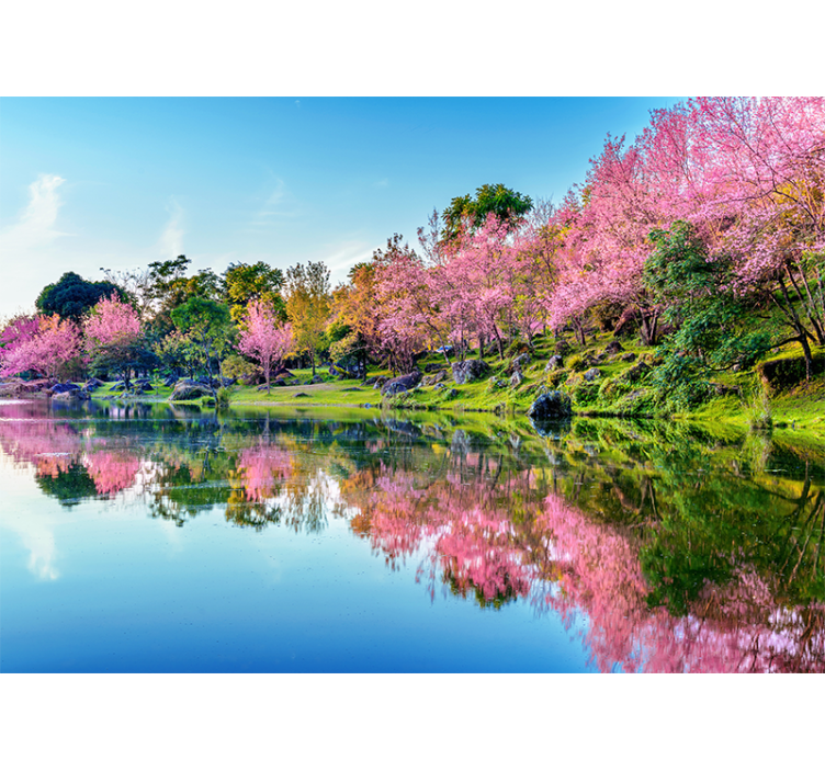 Cherry Blossom Reflections flowers wall mural - TenStickers