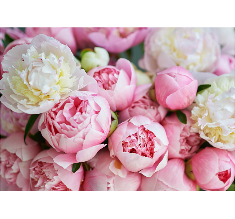 Flowers wall mural peony blossom collection - TenStickers