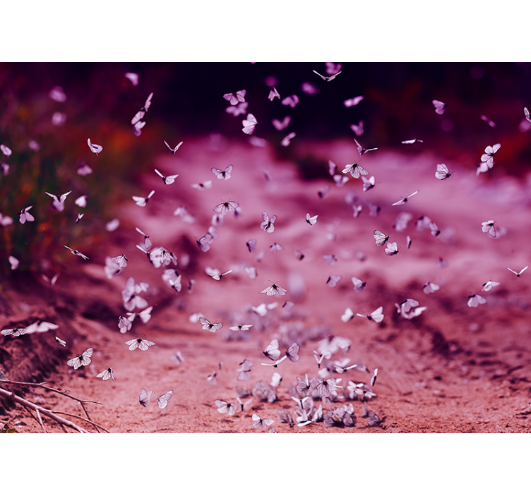 Delicate Butterfly Dance flowers wall mural - TenStickers