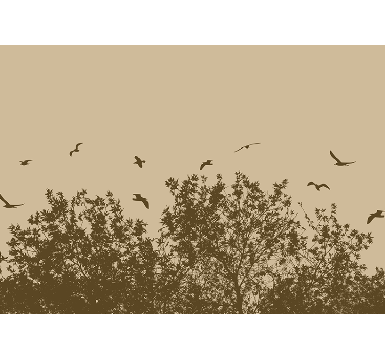 Flying Birds Silhouette nature wall mural - TenStickers