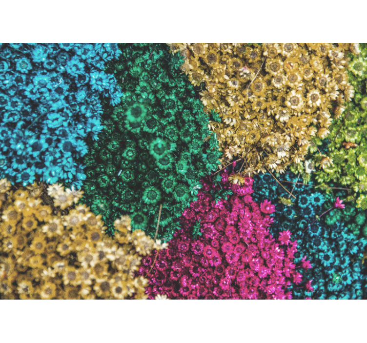 Flowers wall mural in vibrant floral designs - TenStickers