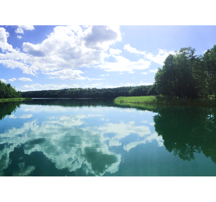 Serene Reflection lake mural wallpaper - TenStickers