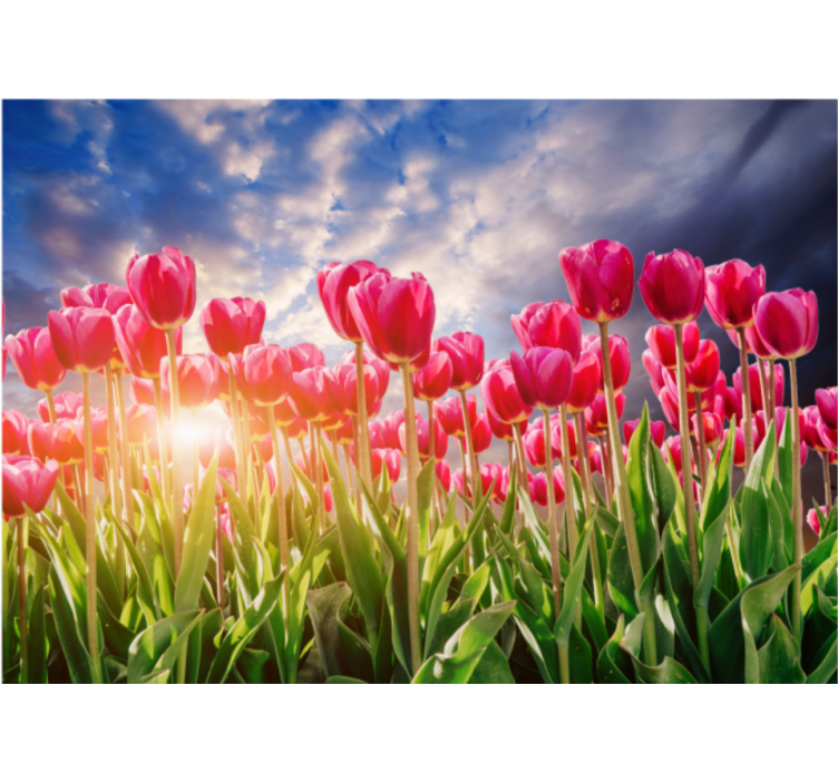 Flowers wall mural radiant tulip field - TenStickers
