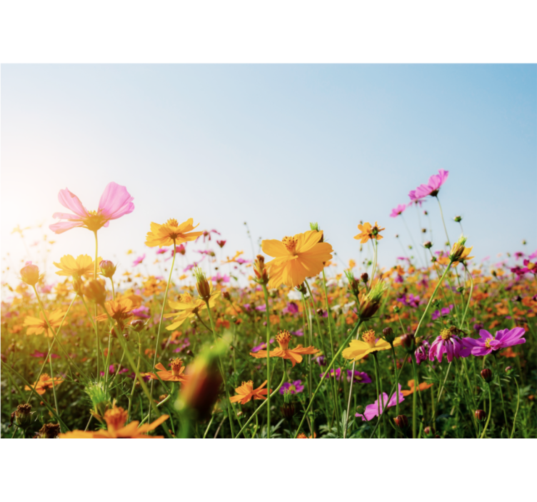 Flowers wall mural colorful blooming flora - TenStickers