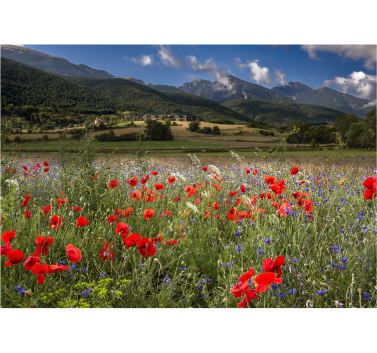 Flowers wall mural poppy meadow scene - TenStickers