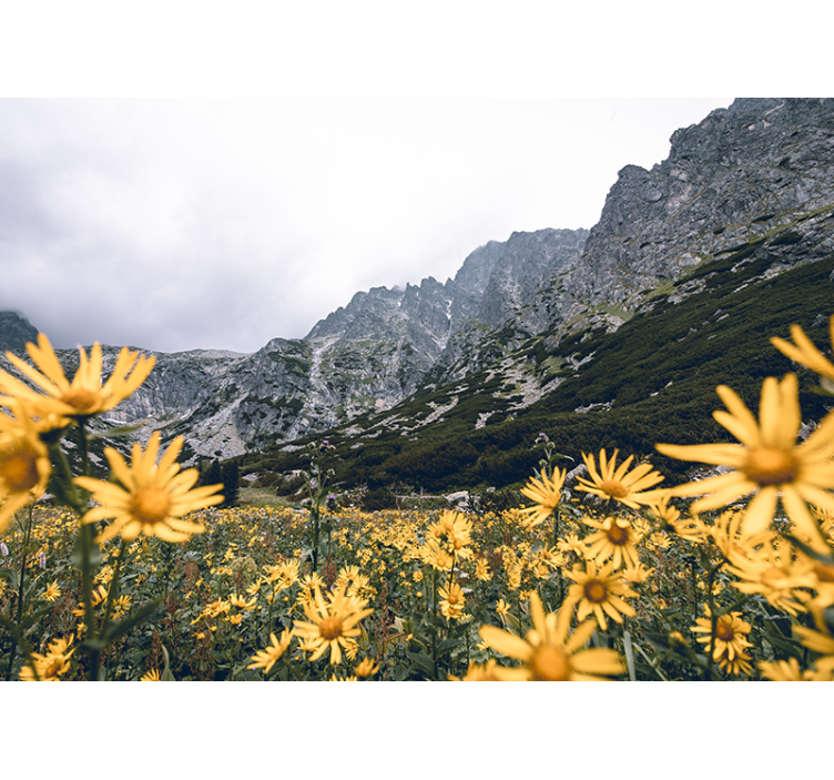 Yellow flower meadow flowers wall mural - TenStickers