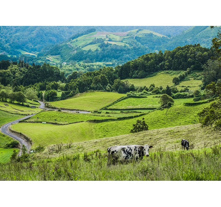 Landscape wall mural rolling green fields - TenStickers