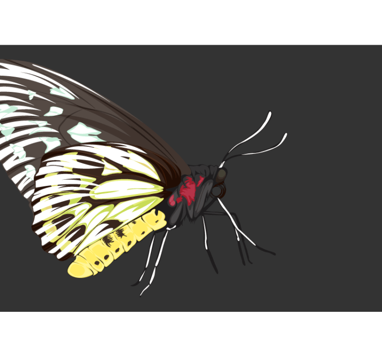 Yellow Butterfly Design flowers wall mural - TenStickers