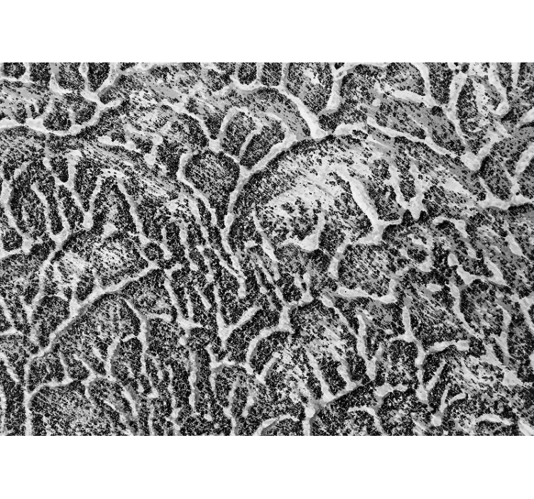 Wall mural pattern organic texture design - TenStickers