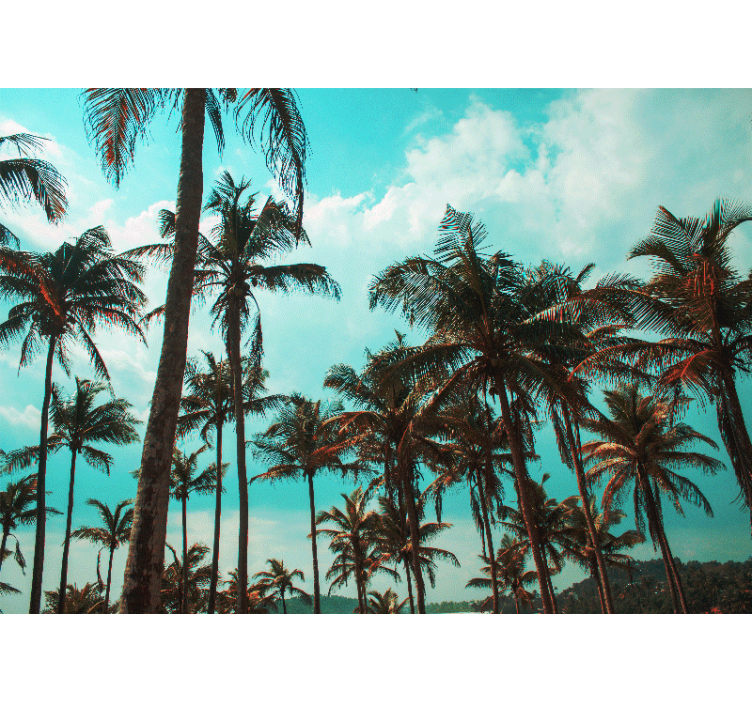 Nature wall mural tropical palm tree paradise - TenStickers