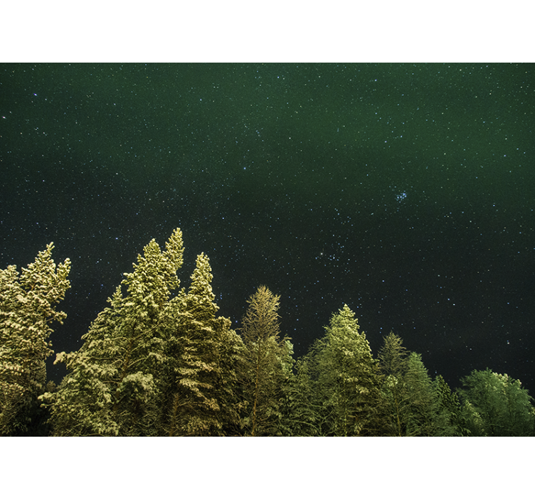 Starry pine forest forest wall mural - TenStickers