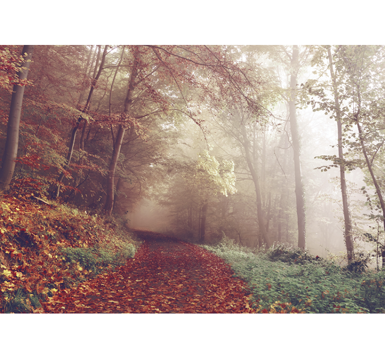 Forest wall mural autumn trail scene - TenStickers