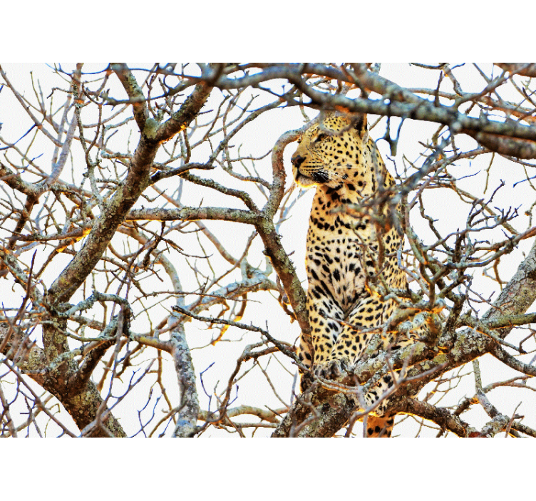 Leopard Among Branches other wall mural animals - TenStickers