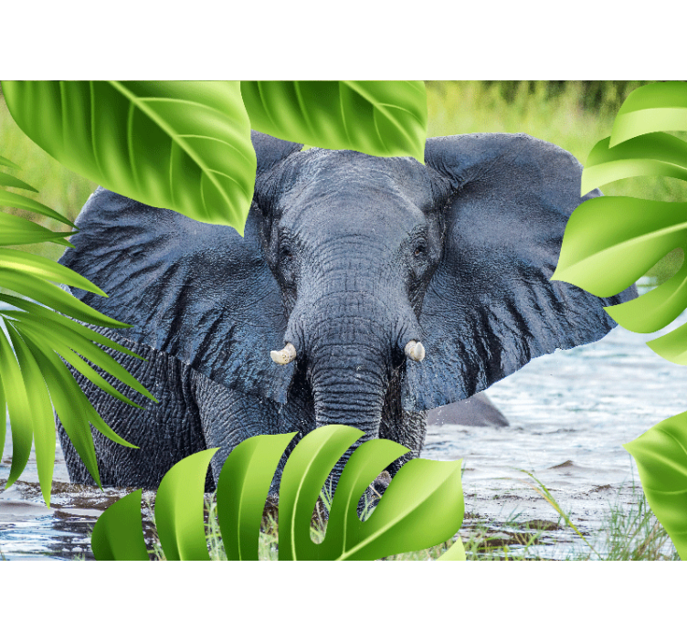 Wall mural animals regal elephant encounter - TenStickers