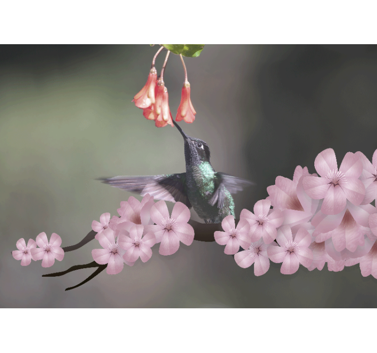 Wall mural animals hummingbird and blooms - TenStickers