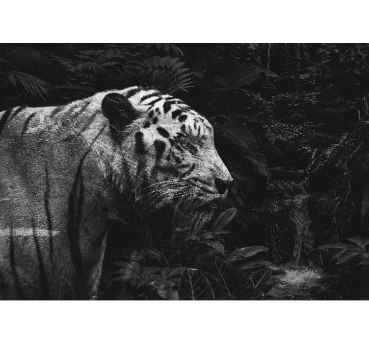 Majestic White Tiger wall mural animals - TenStickers