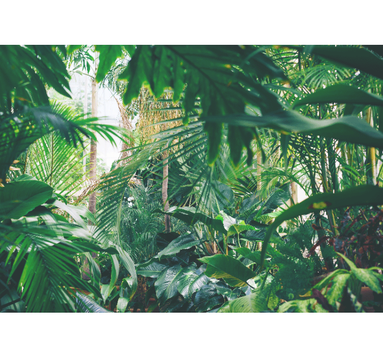 Wall mural jungle lush tropical paradise - TenStickers