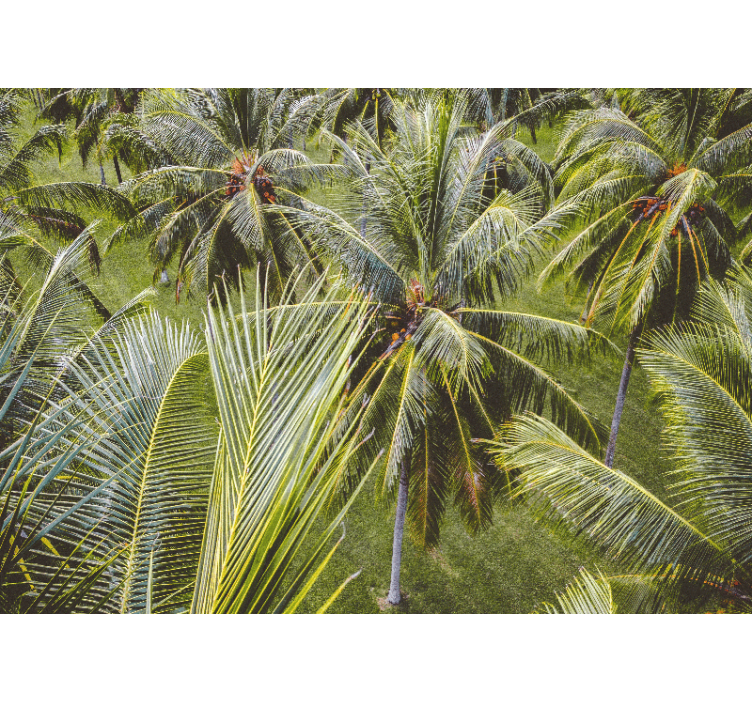 Nature wall mural lush palm fronds - TenStickers