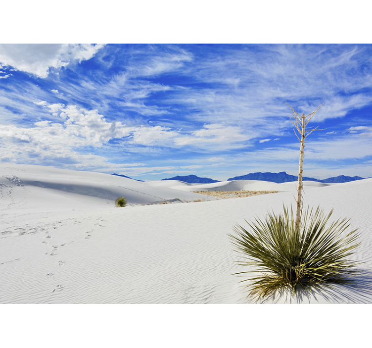 Landscape wall mural desert landscape view - TenStickers