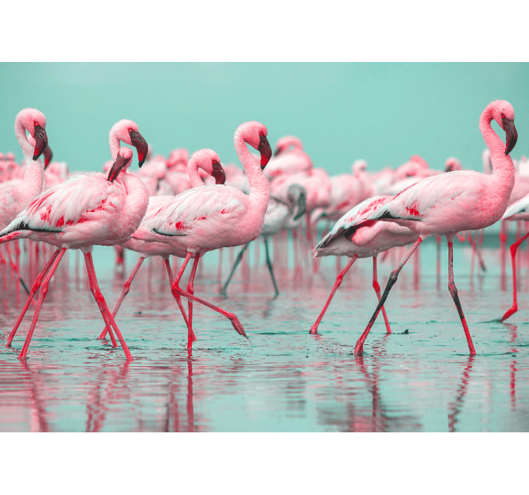 Wall mural animals flamingo flock walk - TenStickers