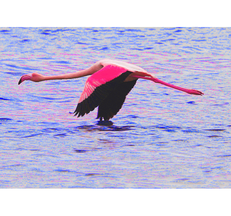 Flamingo in flight other wall mural animals - TenStickers