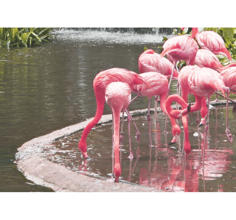 Wall mural animals flamingo assembly - TenStickers