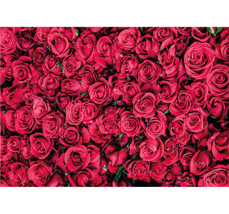 Roses wall mural vibrant rose blossoms - TenStickers