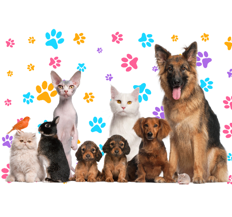 Wall mural animals happy pet friends - TenStickers