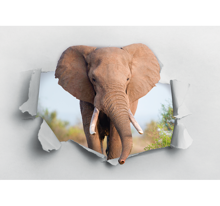 Wall mural animals majestic elephant portrait - TenStickers