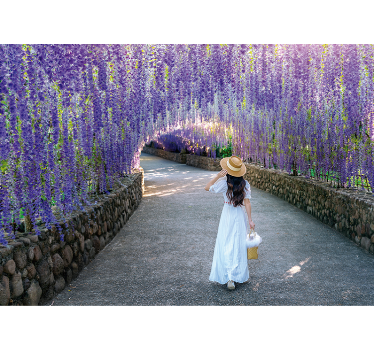 Flowers wall mural wisteria blossom path - TenStickers