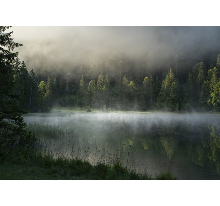 Nature wall mural serene misty lake - TenStickers