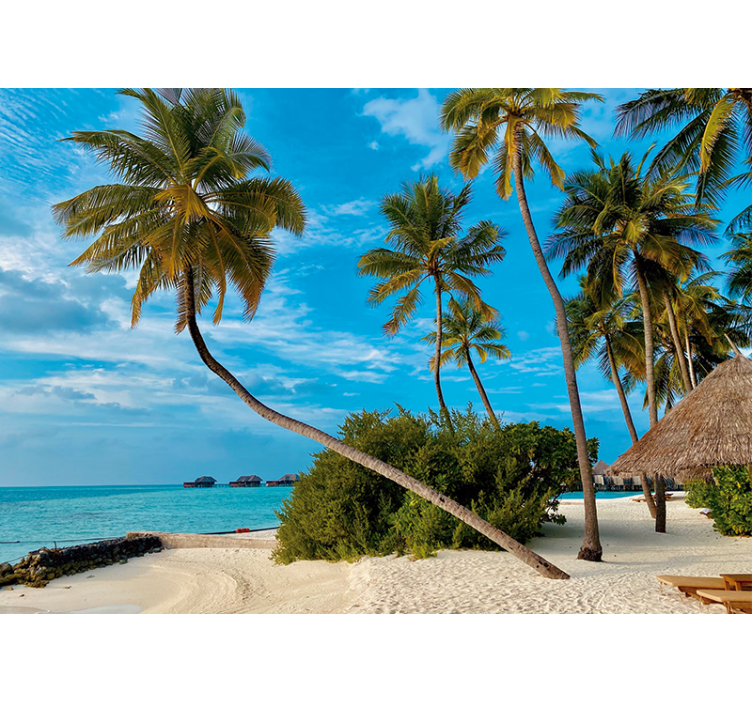 Coconut tree on beach living room wall mural - TenStickers