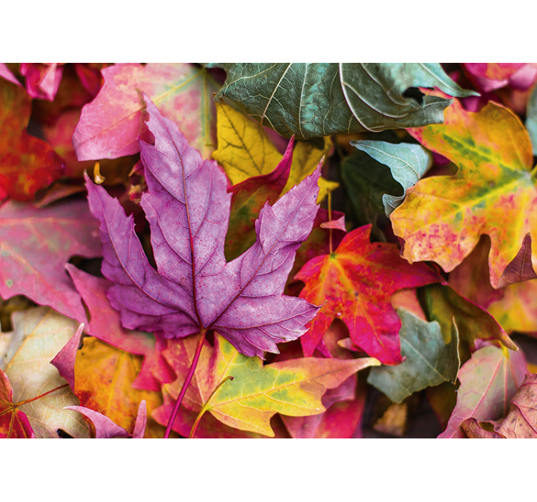 Flowers wall mural colorful leaf designs - TenStickers