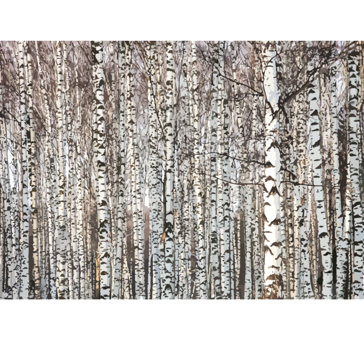 Trees wall mural birch tree forest - TenStickers
