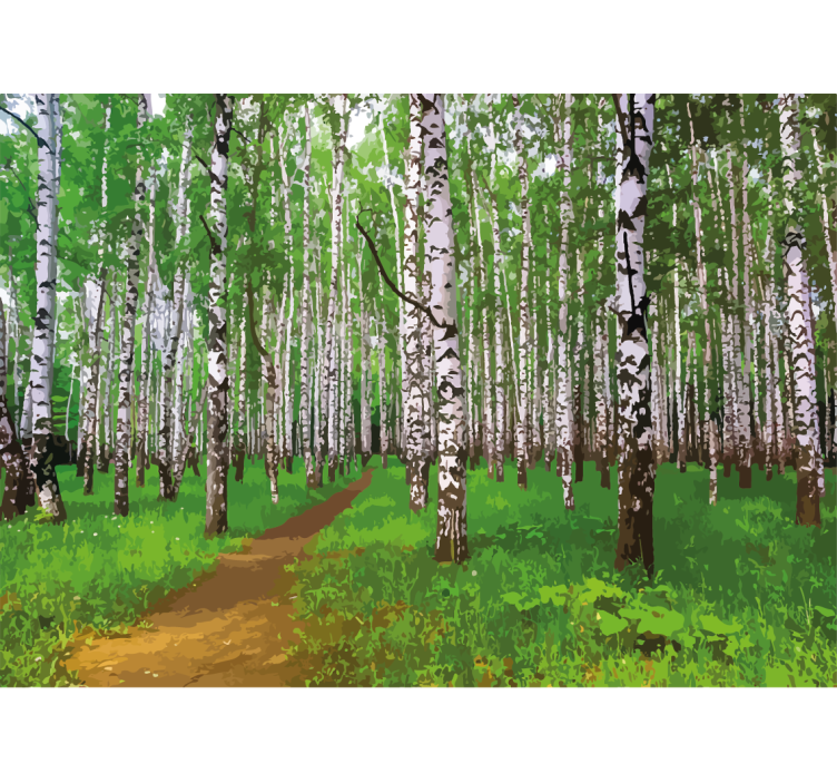 Nature wall mural birch forest path - TenStickers