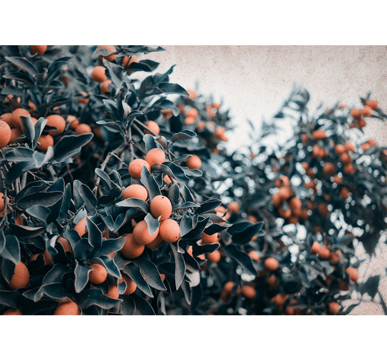 Flowers wall mural citrus fruit branch design - TenStickers