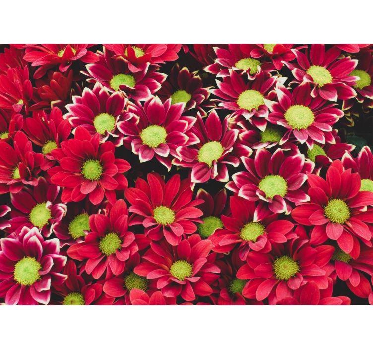 Flowers wall mural crimson blossom arrangement - TenStickers