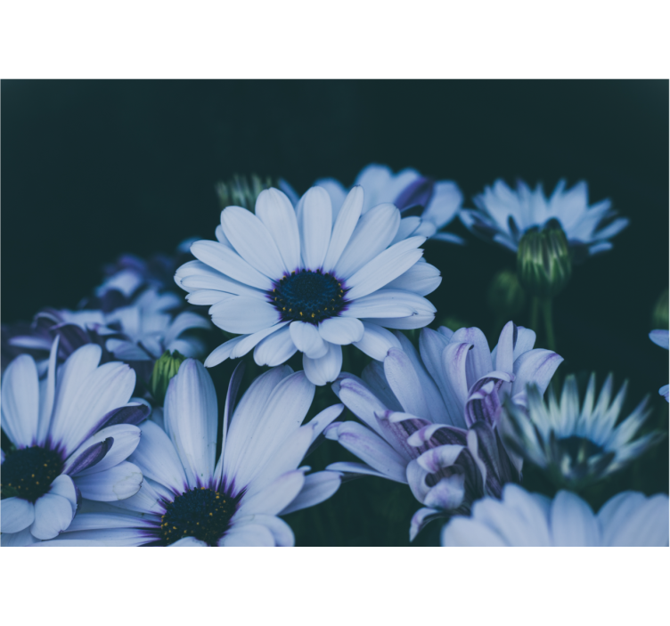 Flowers wall mural serene floral design - TenStickers