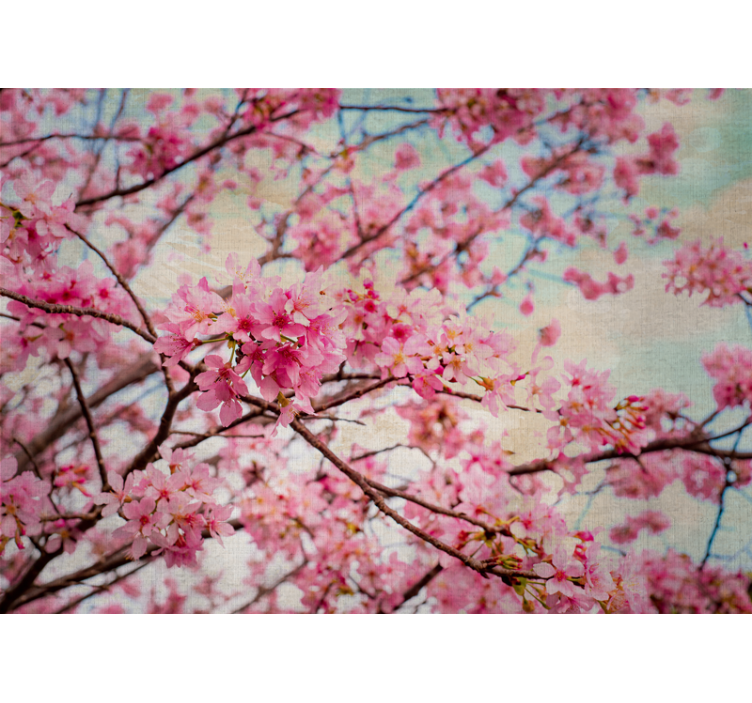 Flowers wall mural sakura branches design - TenStickers