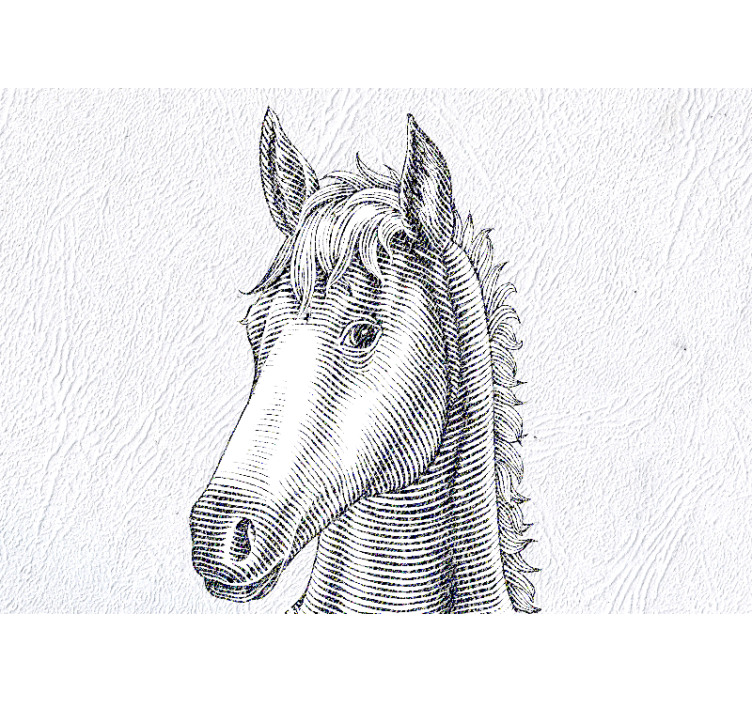 Wall mural animals elegant horse portrait - TenStickers