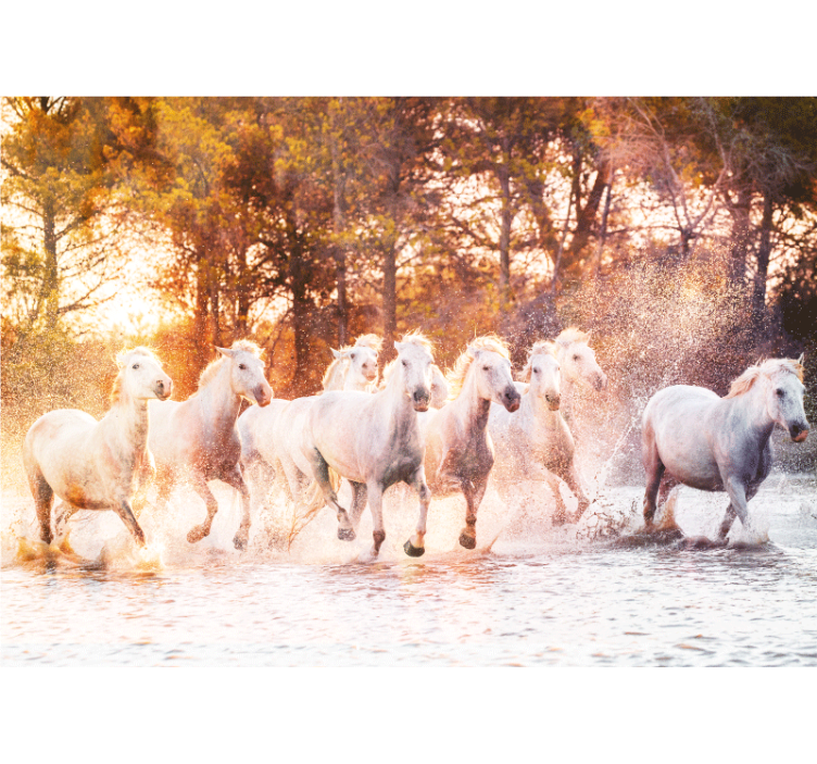 Wall mural animals majestic horses running - TenStickers