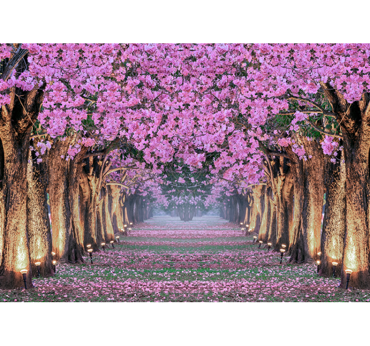 Flowers wall mural cherry blossom path - TenStickers