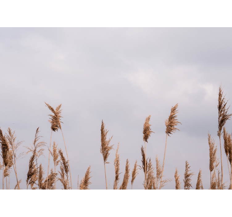 Trees wall mural tall grass silhouettes - TenStickers