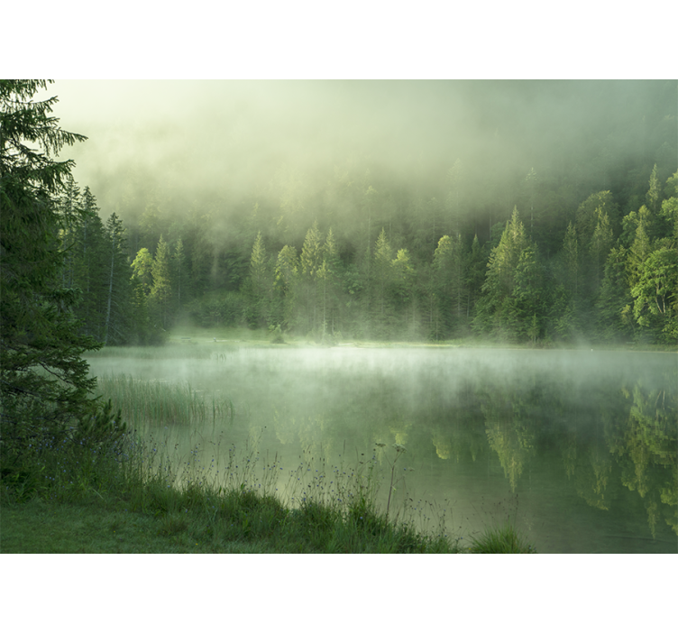 Nature wall mural misty lake reflection - TenStickers