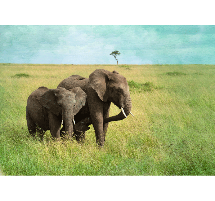 Wall mural animals elephants in grassland - TenStickers
